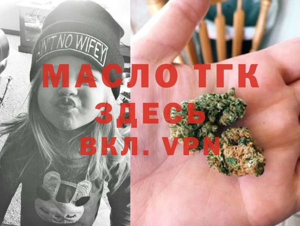 крисы Корсаков