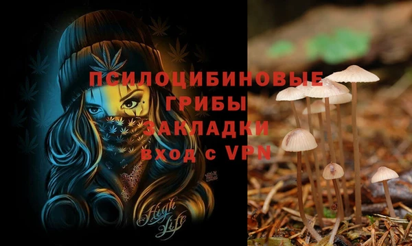 прущие крисы Коряжма