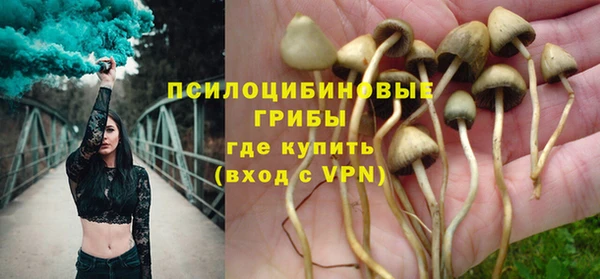 прущие крисы Коряжма