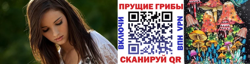 купить   Куртамыш  Галлюциногенные грибы мицелий 